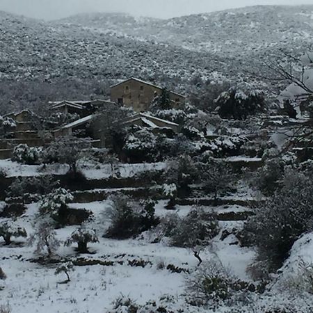 El Rincon De Aran Konuk evi Lecina Dış mekan fotoğraf