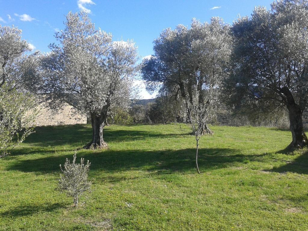 El Rincon De Aran Konuk evi Lecina Dış mekan fotoğraf