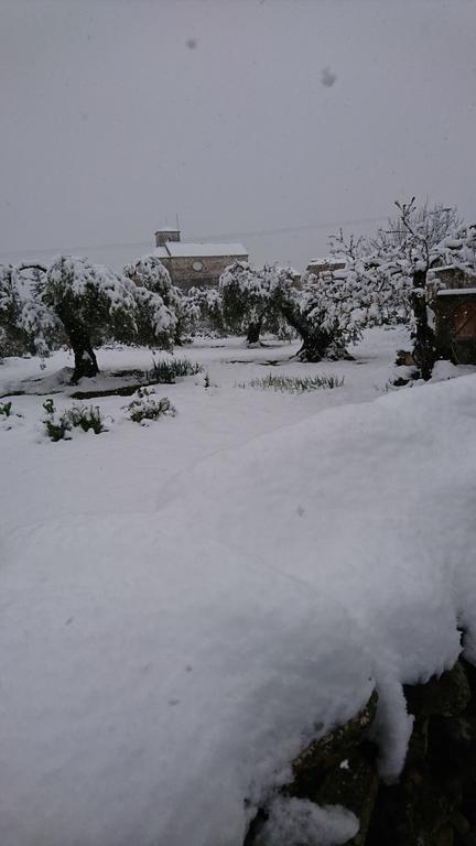 El Rincon De Aran Konuk evi Lecina Dış mekan fotoğraf