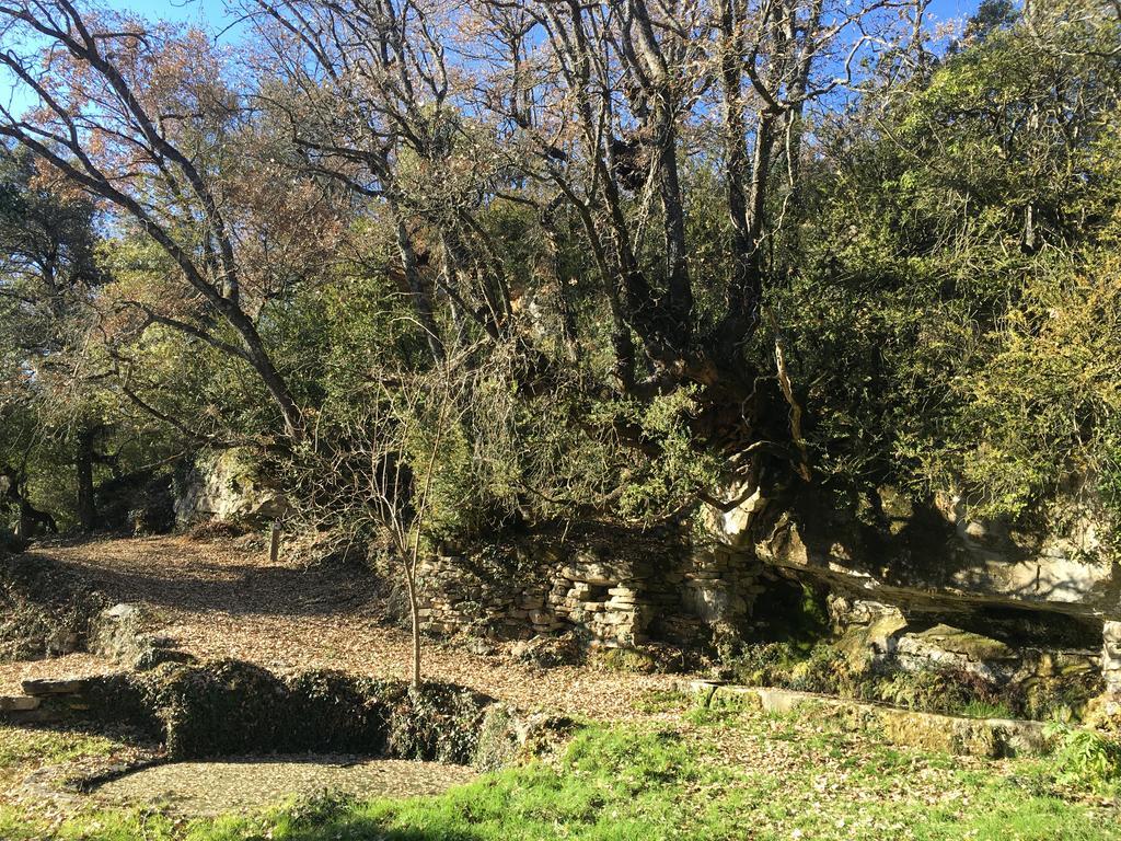 El Rincon De Aran Konuk evi Lecina Dış mekan fotoğraf