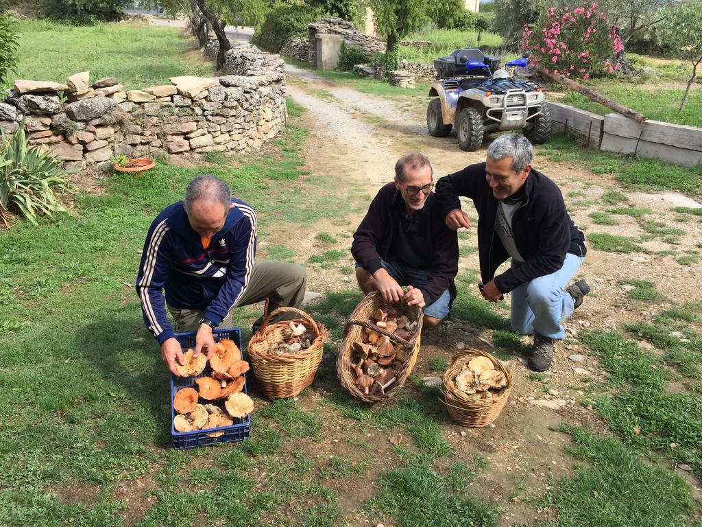 El Rincon De Aran Konuk evi Lecina Dış mekan fotoğraf