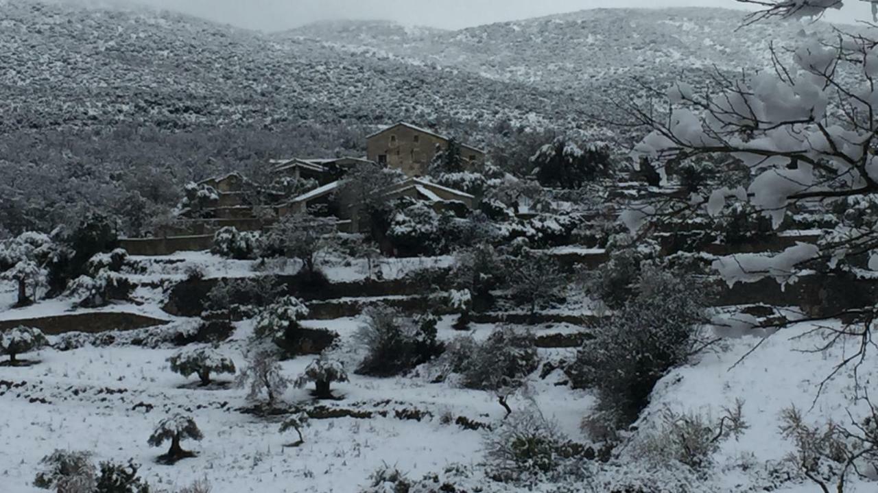 El Rincon De Aran Konuk evi Lecina Dış mekan fotoğraf