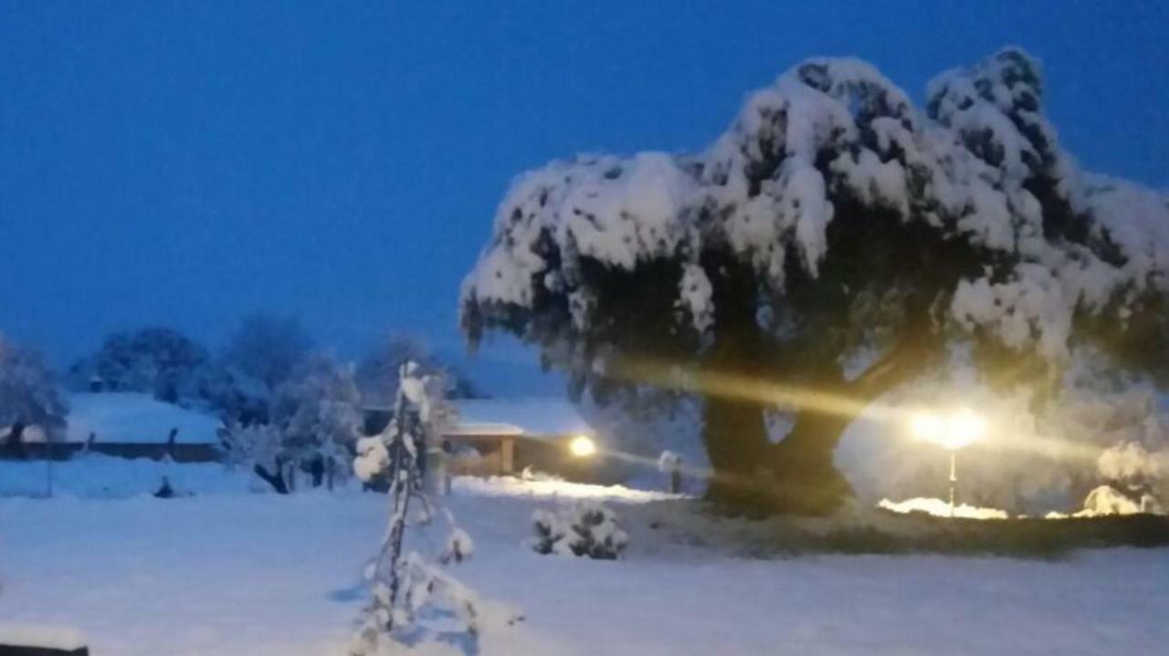 El Rincon De Aran Konuk evi Lecina Dış mekan fotoğraf